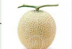 吃瓜群众图片真人头像,揭秘吃瓜群众的真实面容