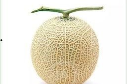 吃瓜群众图片真人头像,揭秘吃瓜群众的真实面容