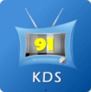 91直播软件下架了吗,回顾与展望